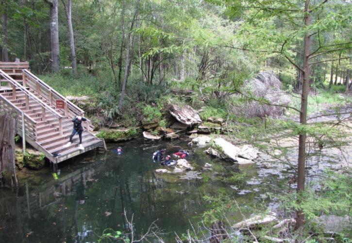 Private Log Cabin With Indoor Pool Sauna And Gym You Rent It All No One Else McAlpin Bagian luar foto