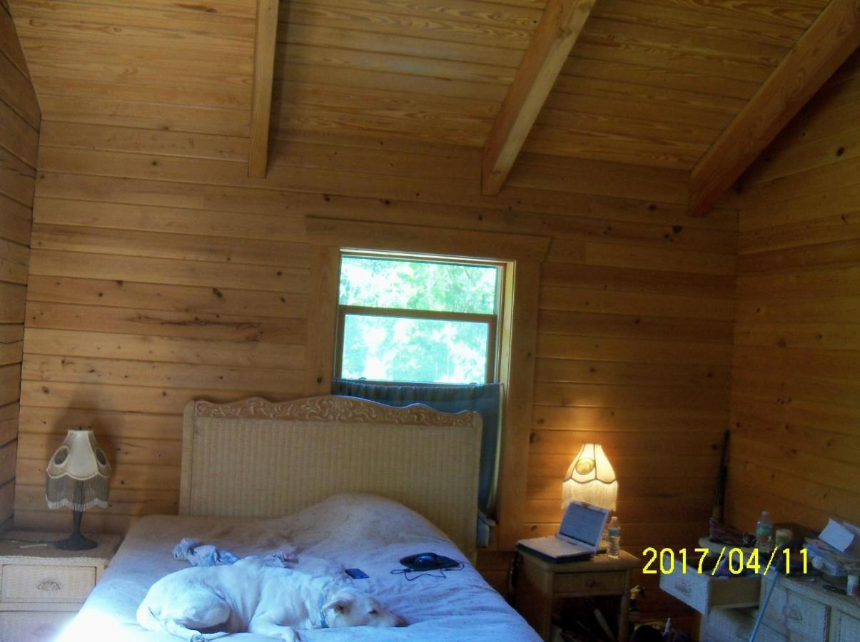 Private Log Cabin With Indoor Pool Sauna And Gym You Rent It All No One Else McAlpin Bagian luar foto